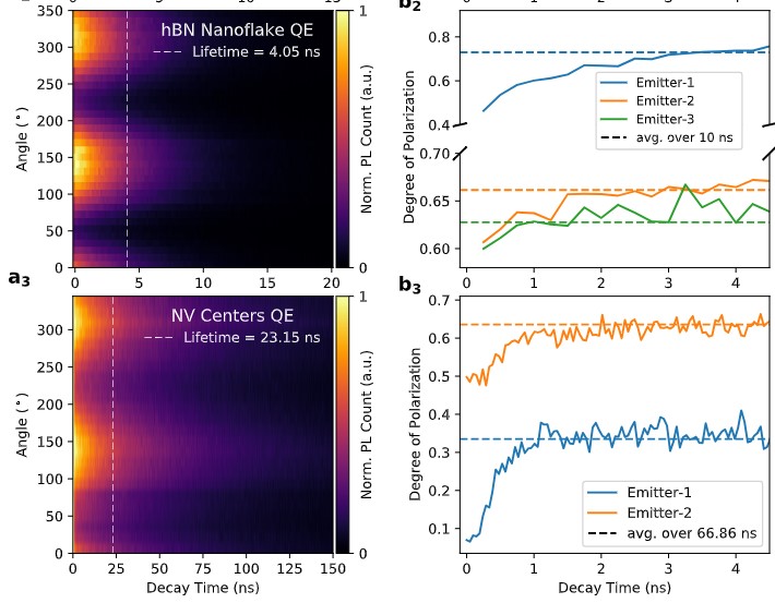 Polarization Dynamics of Solid-State Quantum Emitters