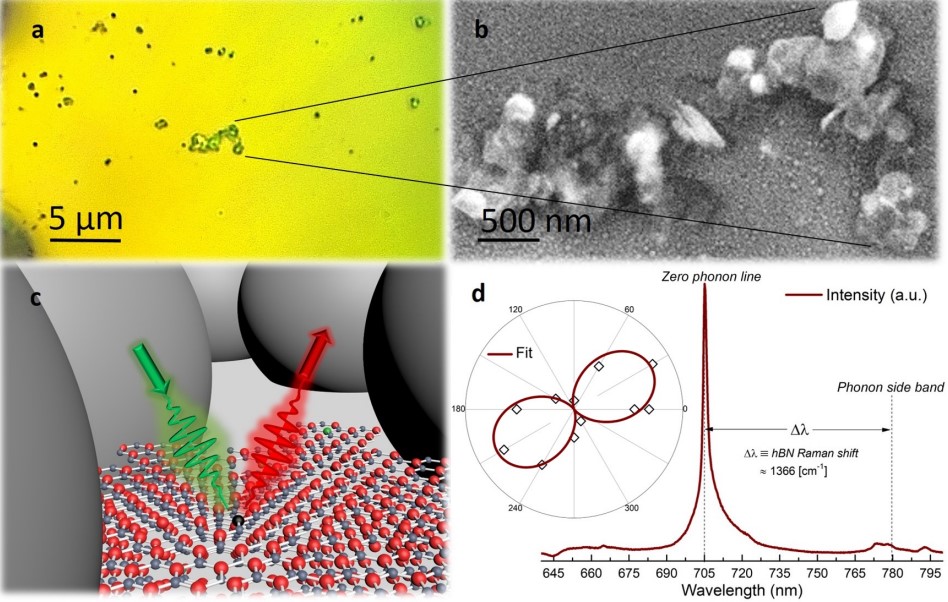 Disorder-Engineered Hybrid Plasmonic Cavities for Emission Control of Defects in hBN