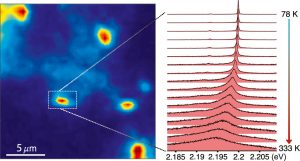 Temperature-Dependent Spectral Properties of Hexagonal Boron Nitride Color Centers