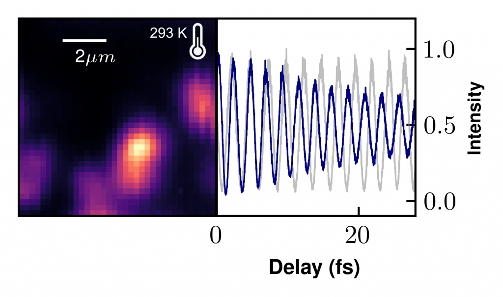 Temporal coherence of single photons emitted by hexagonal Boron Nitride defects at room temperature